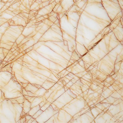 Golden Spider Marble